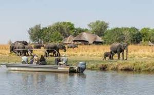 Chobe Riverfront in Botswana